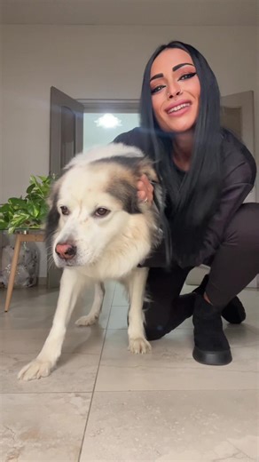 Il mio migliore amico simba ♥️