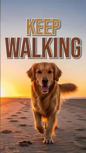 Paws That Push Forward | Dogs Teach Us