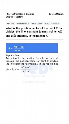 Vectors Internal Division Position Vector Explained