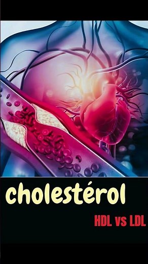 le cholestérol | explication des HDL et des LDL