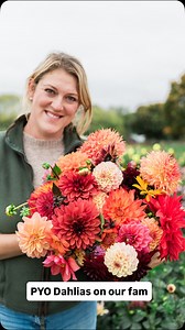 Looking out at the first bit of winter sunshine we’ve had in what feels like days, I’m dreaming of a bit of warmth and thinking about how far my dahlia dream has come 🌸 Back in 2023, it all started as a simple idea after the success of the dahlias in our own garden at home — I couldn’t stop imagining what a pick-your-own dahlia patch might look like here, right next to where the cows graze. In 2024, we planted a small test patch to see how it would work… and that little experiment turned into s