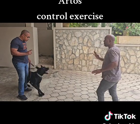 Muscle Control Exercises for Optimal Performance