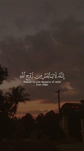 Surah Yusuf (12:87) | Sheikh Ahmed Al-Nafis #allah #quran #beautifulrecitation #islam #muslimcontent