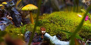 European Google Play Indie Showcase 2019: AntVentor