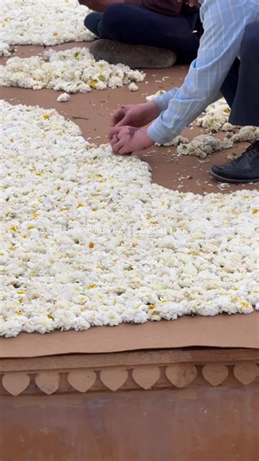 8.5K views · 66 reactions | Here's how to create a heavenly all-white wedding theme! From venue to attire, explore our top tips for achieving pure elegance right here: https://weddedwonderland.com/tips-for-white-wedding-theme/ Video @theweddingdesigncompany | Wedded Wonderland | Facebook