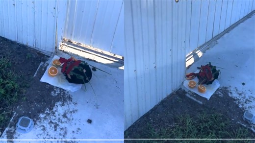 Cubana en Cape Coral denuncia altar de brujería en la puerta de su casa: “Ya este país está como Cuba”