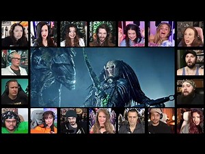 Xenomorph Queen vs. Predator Scene | Alien vs. Predator (2004) * Reaction Mashup