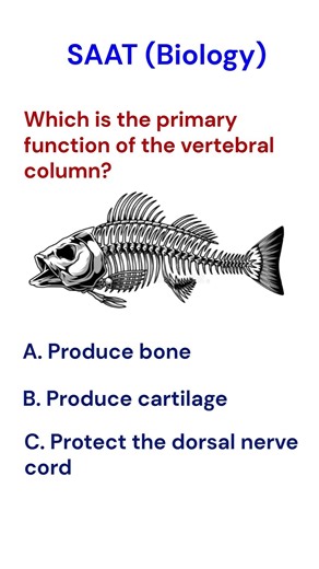 Vertebral column #class12thbiologypaper2023mpboard#shorts #science