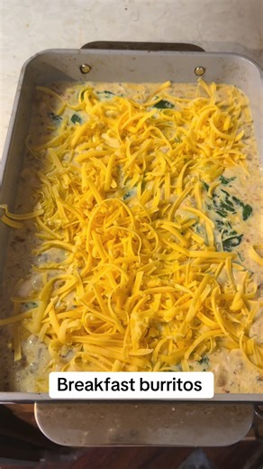 the.backpack.family on TikTok