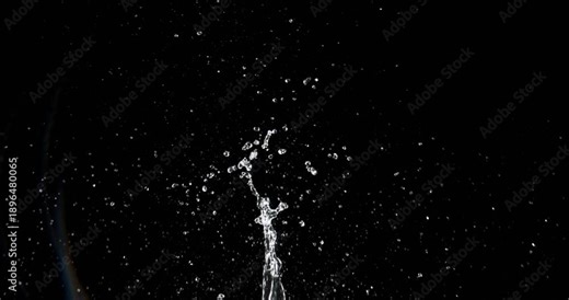 Dynamic and vibrant water drops create stunning splashes on a deep black background following the impact of an object, making them ideal elements for motion graphics and captivating visual effects