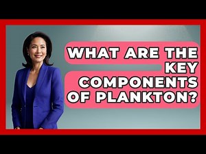 What Are The Key Components Of Plankton? - The Marine Life Explorer