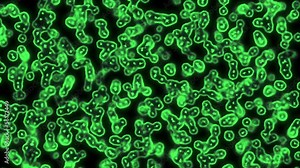 Microbiology, green cells and bacteria under microscope (Hd, seamless loop) Stock Video