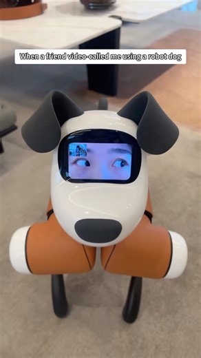 My friend turned into a robot dog#robotdog #interesting #funny #new #wacky