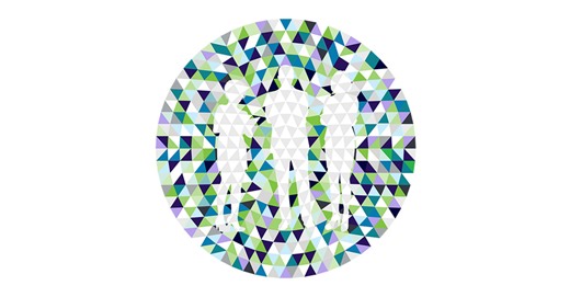 Missing Pieces Report on Board Diversity