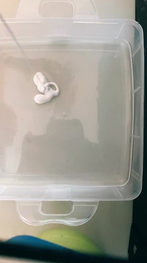 This slime makes the best crunches!! #slime#fyp#slimestorytime