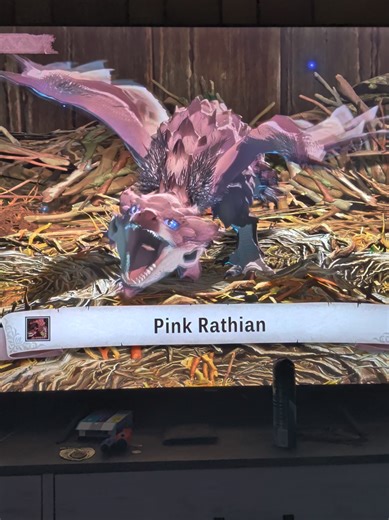 Egg Hunting Rewards in Monster Hunter Stories