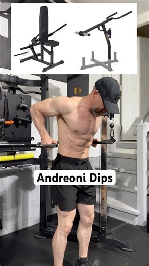 Functional Trainer Dips with the Andreoni Bar #homegym #garagegym #powertec