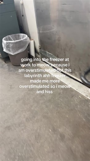 shoutout to the guy on tiktok who meows i aspire to meow like him someday #meow #work #fyp