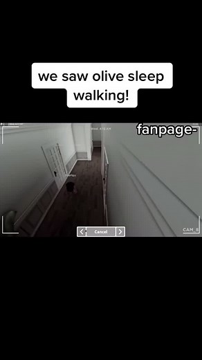 Amberry family!🥺🌸👛 (@amberry_fam_fp)’s videos with original sound - Amberry family!🥺🌸👛