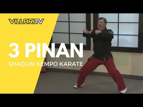 3 Pinan - Shaolin Kempo Karate - VillariTV
