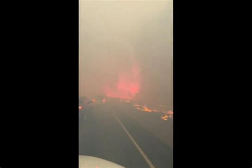 Video of a wildfire north of New Orleans shows thick smoke and trees catching fire