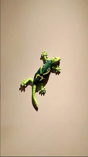 Defy gravity with the Wall-Crawling Gecko l! This remote control gecko uses suction power to race