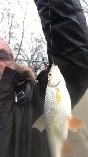 KILLER FISH 007 !!! TAGANKA 2023 !!!