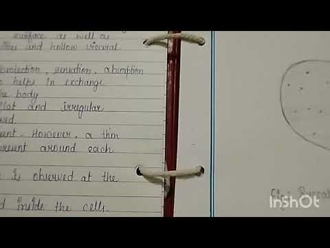 # How to make practical file for BSC (Zoology and Botany)??.… zoology practical..