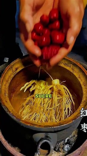 The Hidden Power of Corn Root Revealed 😮