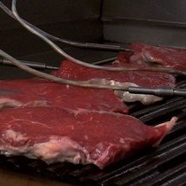 Video: Introducing an Angle Adjustable Cutting Box for Analyzing Slice Shear Force in Meat