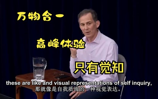 【中英】是什么触发了灵性的高峰体验？What Triggers Peak Experiences By Rupert Spira鲁伯特斯彼拉