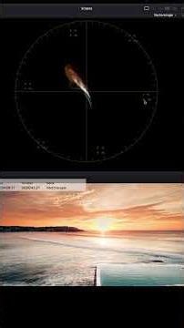 Vector Scope 75% and 100% Targets #davinciresolve