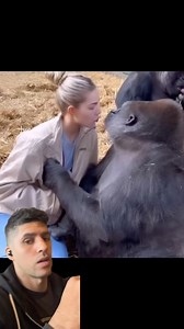 #memes #meme | Francisco Prieto