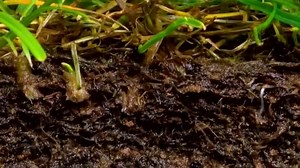 All about the water cycle