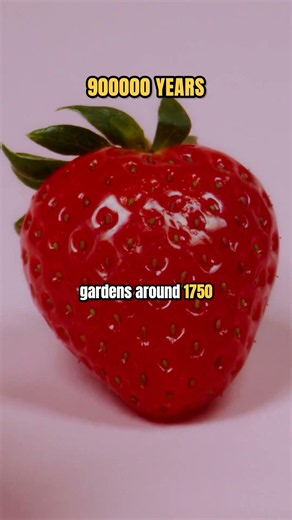 DNA Clocks Just Rewrote the Strawberry's Origin Story #Shorts
