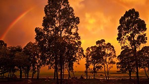 Your First Real Love: The Story of How You Met Photography