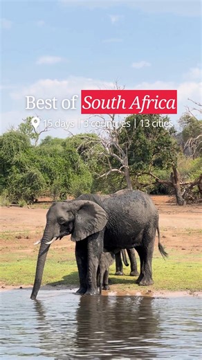 A journey through culture, wildlife, and unforgettable landscapes; our Best of South Africa tour is the ultimate adventure. Discover the sights, tastes, and experiences that make South Africa truly unforgettable on this 15-day tour 🇿🇦 https://bit.ly/45YlENg 🥘 Step into the heart of Eswatini’s vibrant culture on a guided tour of a Swazi Chief’s village 📜 Join host Ella and friends for a traditional Knysna meal and insights into the local Xhosa culture, as part of a Be My Guest experience 🐘 T
