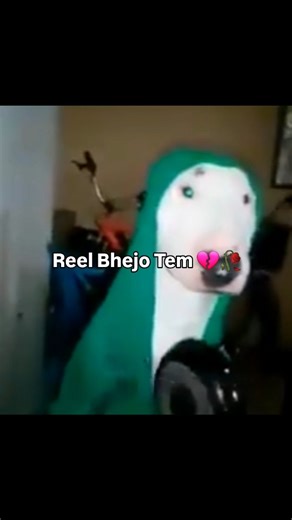 Chulbuli Gaan 🌿 | Chal bhai jaldi jaldi reels bhej 🥰 #instagramreels #insta #entertainment #funny | Instagram