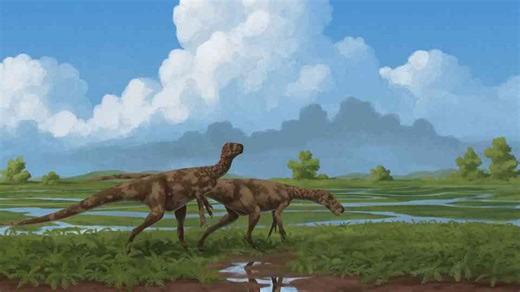 What made this early meat eater one of the era’s most dangerous