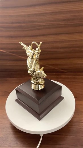 Personalized Bull Riding Trophy: Custom Engraved Rodeo Award - Etsy