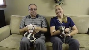8.3K views · 133 reactions | The Humane Society of Erie County Ohio...