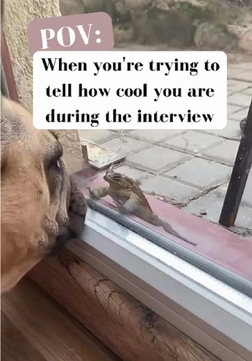 When you’re trying to put your entire life story into a 15-minute interview! 🎤😎 That was literally ME during my first freelance interviews! 🫠 From childhood dreams to listing every tool I’d ever touched, plus a few skills that weren’t even relevant. 🤦‍♀️ Just some random “clever words” I heard or read. 🤷‍♀️ Talking way too fast, throwing in random English words, and hoping it sounded impressive. 🫣 Result? You guessed it—REJECTED! 😂 Who else has had their 'fake-it-till-you-make-it' intervi