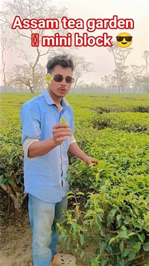 mini block #trending #shortsfeed #viral #shorts