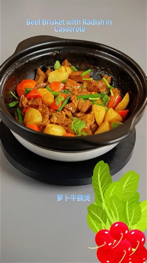 Hong Kong-Style Braised Beef Brisket with Radish