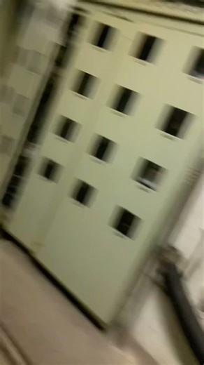 12 de novembro de 2025