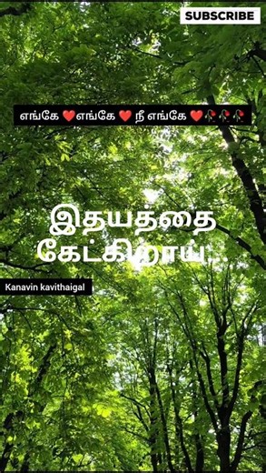இதயத்தை கேட்கிறாய்#love#hitsongs#முதல் கனவே#believe#favourite#Prasanth Hits#nature#tree#shorts