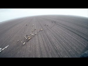 Pigman Blast 50 Hogs in 4 Minutes with a Beretta from a Chopper