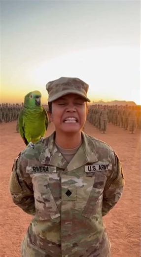 PARROT Takes Over an Army Drill: "Everyone Do Jumping Jacks!" 😂