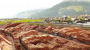 Timber business ‘booming’ as global demand soars
