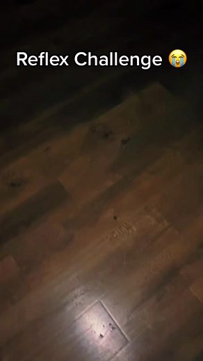 Lets see who reflexes the fastest 😭#fakebody⚠️ #jokes #challenge #reflex #notminors #donttakethisdown #viral #fyp #foryou #foryoupage #notminorsafety #prop #dontban